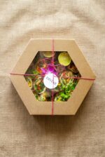 Wrap Krewetki BOX - obrazek 2