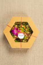 Wrap Mięsny BOX 1 - obrazek 2