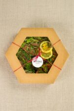 Wrap Wege BOX 1 - obrazek 2